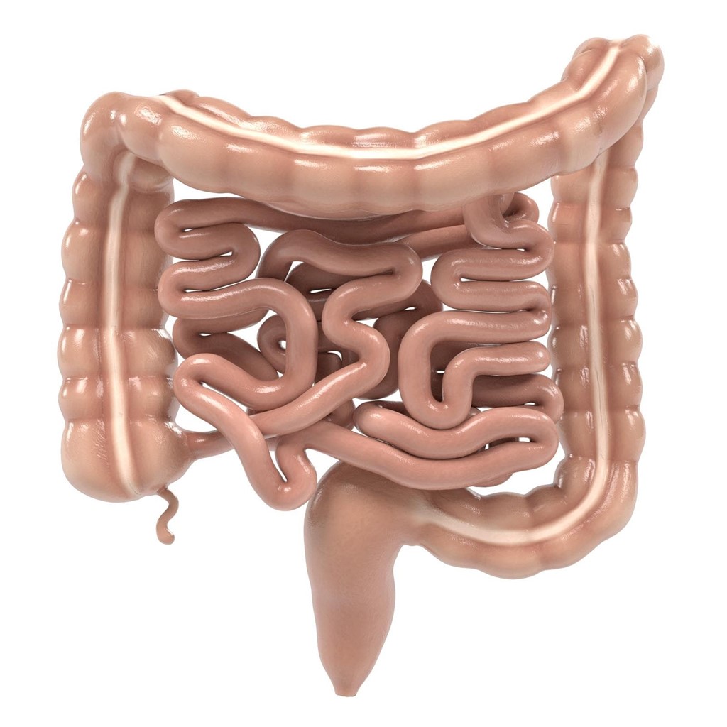 Enfermedad de Crohn y colitis ulcerosa: dolencias intestinales crónicas