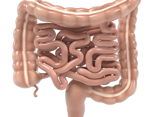 Enfermedad de Crohn y colitis ulcerosa: dolencias intestinales crónicas