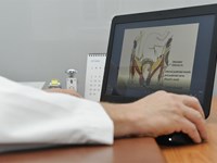 Heces verdes, ¿son normales?