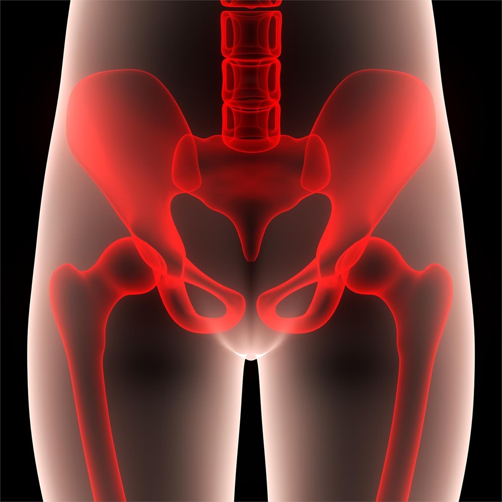 Patologías del suelo pélvico: alteraciones anatómicas y funcionales -  Patologías del suelo pélvico